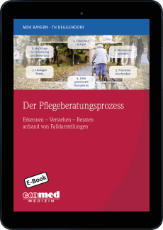 Der Pflegeberatungsprozess anhand von Fallverläufen 