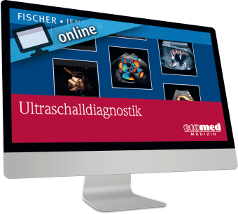 Ultraschalldiagnostik online