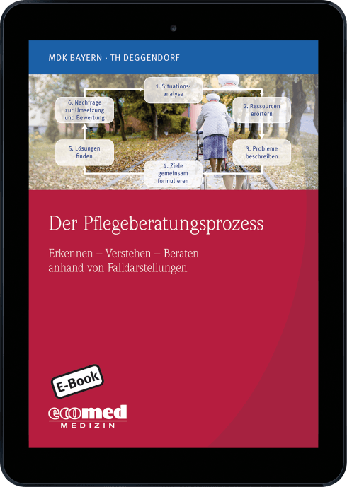 Der Pflegeberatungsprozess anhand von Fallverläufen 