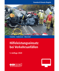 Standard-Einsatz-Regeln: Hilfeleistungseinsatz bei Verkehrsunfällen - Online-Version (5. Auflage 2020)