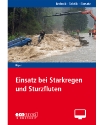 Einsatz bei Starkregen und Sturzfluten - Online-Version (1. Auflage 2020)