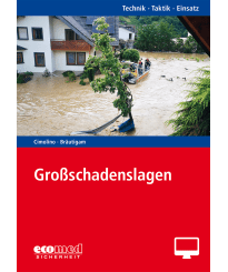 Großschadenslagen - Online-Version (1. Auflage 2023)