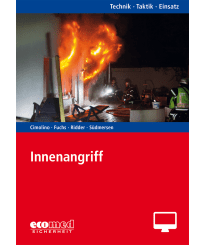 Innenangriff - Online-Version (1. Auflage 2018)