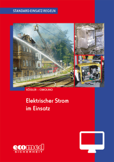 Standard-Einsatz-Regeln: Elektrischer Strom im Einsatz - Online-Version (1. Auflage 2014) 