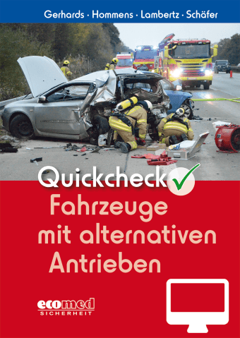 Quickcheck Fahrzeuge mit alternativen Antrieben - Online-Version (1. Auflage 2022)