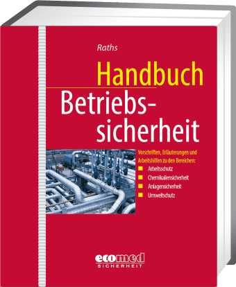 Handbuch Betriebssicherheit