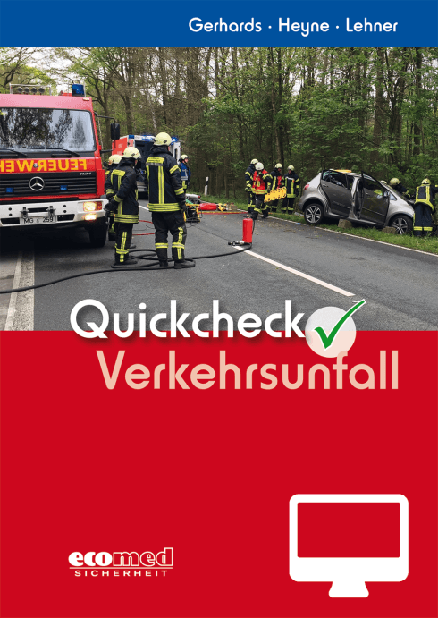Quickcheck Verkehrsunfall - Online-Version (3. Auflage 2019) 